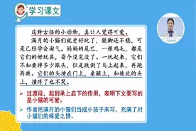 人教版小学四年级语文下册《猫》视频封面