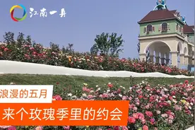 五一期间，肥西祥源花世界满园鲜花，这里真是花的世界！