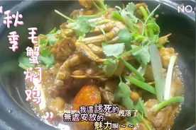 粤菜里的螃蟹焖鸡那么好吃怎么做，厨师长教你正宗做法，好吃过瘾
