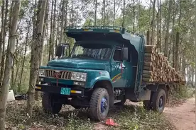 广西钦州最牛载重越野车钦机山上拉木头装车合集
