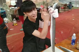 实拍福建厦门和手臂一样粗的海鳗鱼去骨教程，这鱼得多少钱一斤