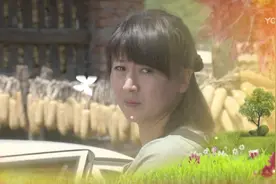 豆腐西施杨七巧 ，片尾曲视频封面