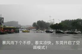 暴风雨加台风，东莞开启了吹空调模式。着实凉快很多，简直太巴适视频封面