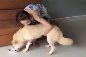 女主人对狗狗又搂又抱的，这一幕也太有爱了，网友-羡慕那条狗啊视频封面