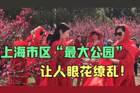 上海市内“最大公园”，人山人海，美女如云，听说马上要免费了！视频封面