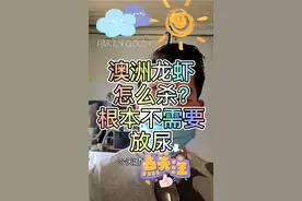 澳洲龙虾怎么杀