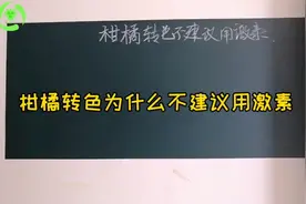 柑橘转色期为什么不建议使用激素转色，乙烯利脱落酸类有哪些危害