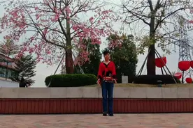 陈金香广场舞《印度最新藏歌》原创大众印度舞即妖娆又健身