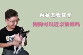 为了保证血统纯正，原来狗狗还可以近亲繁殖