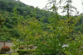 无聊在家等待上夜班的小职员如何度过一天