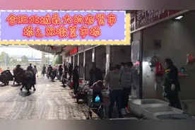 合肥北城最大的农贸市场之双墩菜市场视频封面