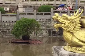 看到这个你有没有想去抓？反正我是好想去抓，但是又怕我被抓。