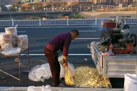 河南的夫妇在路边卖膨化食品，一个月收入1.5万元，这生意可做吗视频封面