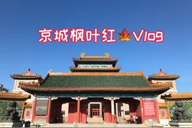 北京退休阿姨去紫檀博物馆两个小时不出来，被精美绝伦的藏品迷住视频封面
