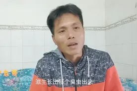 为什么广东臭虫那么多？