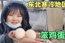 东北零下30℃鸡窝这样搭建，每天都下蛋，为农民增加了不少收入