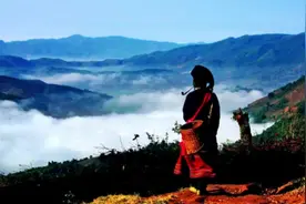 云南临沧旅游指南及文化介绍视频视频封面