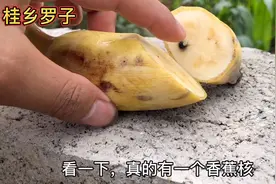 吃香蕉居然吃出几个香蕉核来，你们遇到过吗？