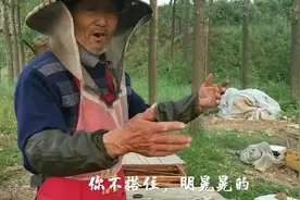 蜜蜂不光采蜜，身上还隐藏着大作用，你知道吗？听听养蜂老人咋说
