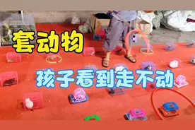 萌娃套圈！大鹅、鹦鹉、兔子，应有尽有，1分钟20大洋灰飞烟灭！