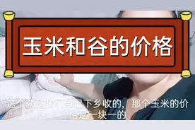 湖北松滋:自己下乡收的玉米，谷看看是什么价格视频封面