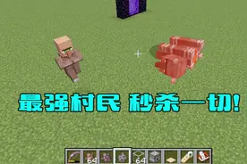 我的世界：给村民穿上荆棘99999级钻石甲后会出现什么情况？