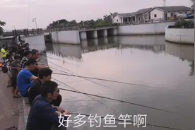 广州白云湖旁边竟然可以钓鱼视频封面