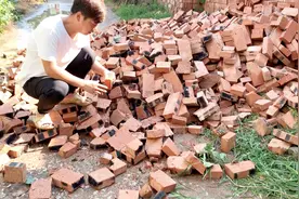 一夜之间好砖变成碎砖，小飞看着一车的碎砖头，又生气又没有办法