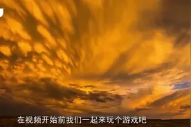 自然界中最笨的鱼，听到声音就会浮出水面，没有危机意识！视频封面