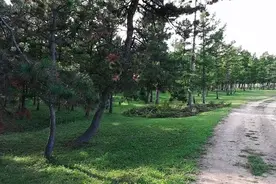 做四个多月自媒体，视频质量还在原地踏步，必须去西瓜大学学习了视频封面