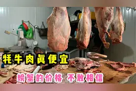去拉萨最大的菜市场看看，牦牛肉羊肉这么便宜，海鲜价格不敢相信视频封面