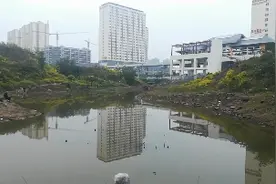 四川广安，枣山土河，未来或将打造成一个美丽的公园！视频封面