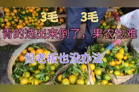 产地收货几毛钱一斤，水果越是便宜越不好卖，果农难，老板也难。视频封面