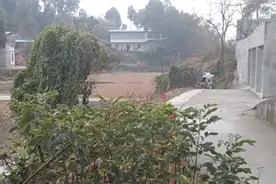 疫情来袭，各家都呆在家里不出门好冷清。武汉加油！！