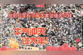 去海边捡到红宝石了，大家看值钱吗视频封面