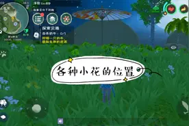 【创造与魔法】染色所需各种小花的位置视频封面