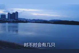 广州最适合吹风免费钓鱼的地方，新塘永和的有福了视频封面