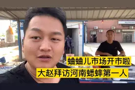 河南蛐蛐儿市场开市啦，大赵拜访河南蟋蟀第一人，收获满满视频封面