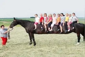 世界上最大的马有多大，一匹马就能坐10个人，看完让人大开眼界