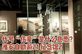 您知道谁的代号是“伍豪”、“逸豪”吗？是何意？纪念馆寻答案。视频封面
