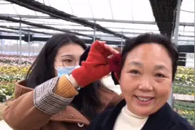 南京农业大学，占地数百亩的菊花园里，盛开着1500个品种的菊花！视频封面