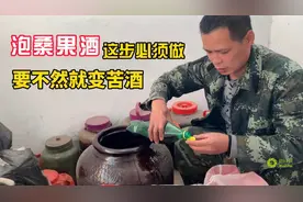 小何给桑果酒捞渣，再不捞起来就变苦酒了视频封面