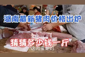 湖南最新猪肉价格出炉，猜猜多少钱一斤？网友：太接地气！视频封面