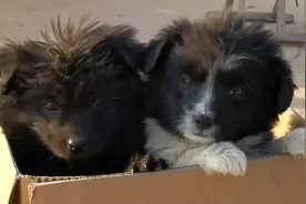 立正、稍息。张二毛、李二狗，注意听讲