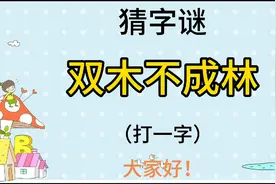 猜字谜“双木不成林”打一字，一年级字谜。