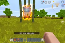 迷你世界 神秘的竹子传送门竟然可以传送到西瓜世界