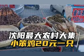 沈阳最大农村大集，小笨鸡20元一只，小伙买了5个烧饼回家。