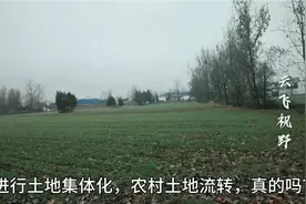河南农村开始发放土地分红股权证，股权证什么内容，有啥用？来看视频封面