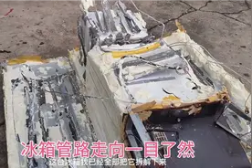 冰箱内部拆解管路走向细节曝光冷凝器是铁蒸发器是铝视频封面