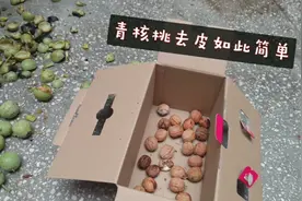 青皮核桃怎么去皮，新学一招，又快又简单，还不会脏核桃视频封面